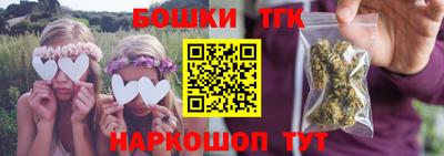 индика Заводоуковск