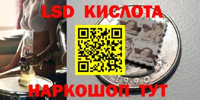 индика Заводоуковск