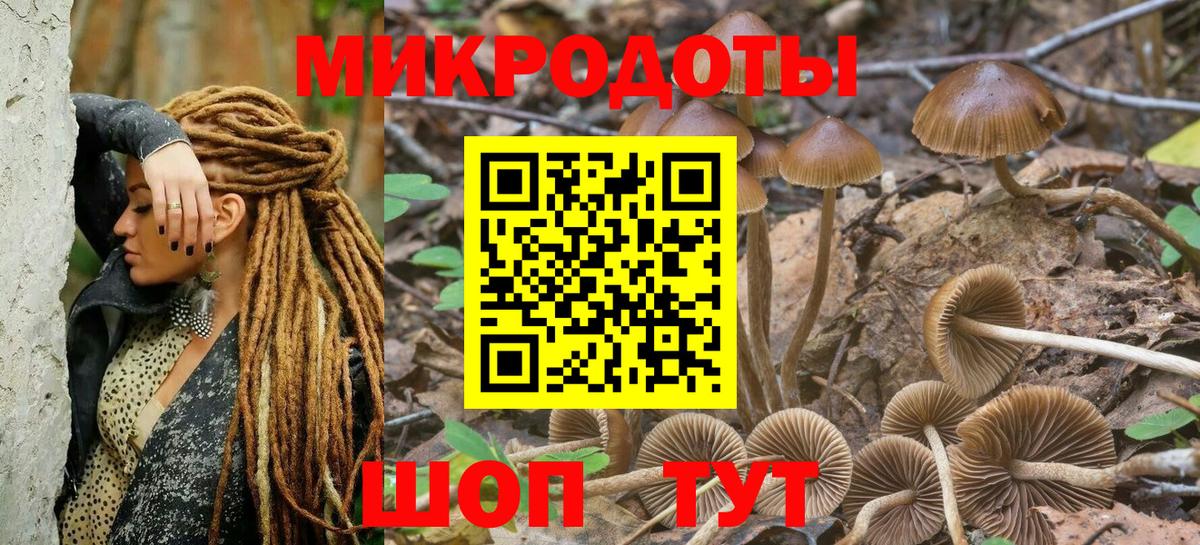 Псилоцибиновые грибы мицелий Ливны