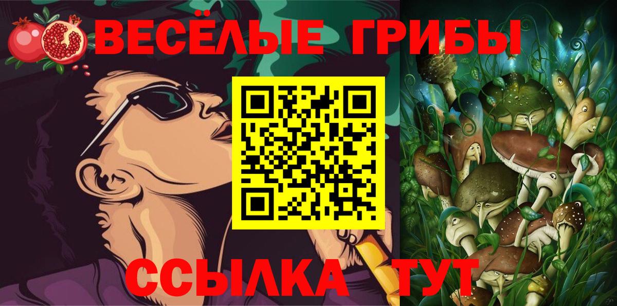 Галлюциногенные грибы GOLDEN TEACHER  Вход с VPN  купить наркоту  Ливны 